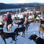 Mushing uten hund, fra Synnfjell