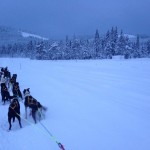 Hakasleppet 6 dager før start