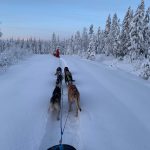 Rookiekurs i langdistanse løpskjøring 15-16. August